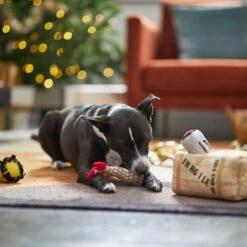 Frisco Holiday Fragile Box Hide & Seek Puzzle Plush Squeaky Dog Toy -Dog Supplies Store 233274 PT4. AC SS1800 V1665759767