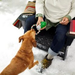 Frisco Holiday Christmas Light Rope With TPR Squeaky Dog Toy 9 Frisco Holiday Christmas Light Rope With TPR Squeaky Dog Toy -Dog Supplies Store 233278 PT2. AC SS1800 V1601641574