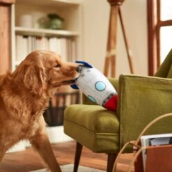 Frisco Ballistic Nylon Plush Squeaky Rocket Ship Dog Toy 7 Frisco Ballistic Nylon Plush Squeaky Rocket Ship Dog Toy -Dog Supplies Store 233581 PT3. AC SS1800 V1600973767