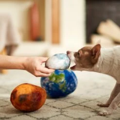 Frisco Earth, Mars, And Moon Plush Squeaky Dog Toy 7 Frisco Earth, Mars, And Moon Plush Squeaky Dog Toy -Dog Supplies Store 233587 PT3. AC SS1800 V1600973771