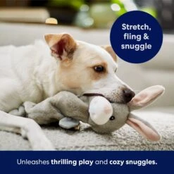 Frisco Bunny Bungee Plush Squeaky Dog Toy -Dog Supplies Store 233612 PT5. AC SS1800 V1691783971