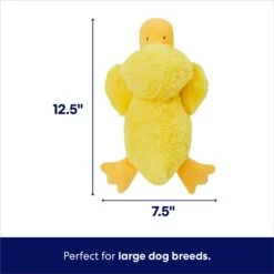 New Arrival -Dog Supplies Store 233613 PT1. AC SS1800 V1695671062