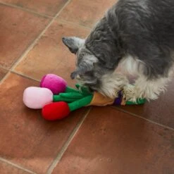 Frisco Valentine Rose Bouquet Plush Squeaky Dog Toy -Dog Supplies Store 241733 PT6. AC SS1800 V1607990908