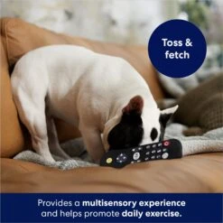 Frisco Zoomies & Chill Remote Latex Squeaky Dog Toy -Dog Supplies Store 241753 PT6. AC SS1800 V1686580150