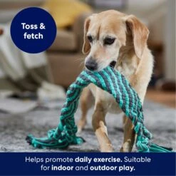 Frisco Flat Teal & Gray Braided Rope Squeaky Fetch Dog Toy 10 Frisco Flat Teal & Gray Braided Rope Squeaky Fetch Dog Toy -Dog Supplies Store 242127 PT3. AC SS1800 V1695242179