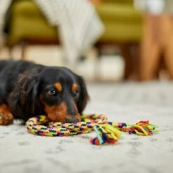 Frisco Pretzel Rope Dog Toy -Dog Supplies Store 242141 PT2. AC SS1800 V1605208795