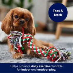 Frisco Double Knot Tri-Color Rope Fetch Dog Toy 8 Frisco Double Knot Tri-Color Rope Fetch Dog Toy -Dog Supplies Store 242149 PT3. AC SS1800 V1695241915