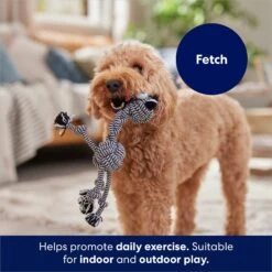 Frisco Zebra Rope Squeaky Dog Toy 10 Frisco Zebra Rope Squeaky Dog Toy -Dog Supplies Store 242163 PT3. AC SS1800 V1691785245