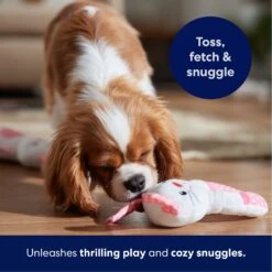 Frisco Bunny Plush Squeaky Puppy Toy -Dog Supplies Store 245916 PT3. AC SS1800 V1695760959