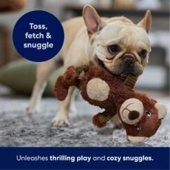 Frisco Bear Plush Squeaky Dog Toy -Dog Supplies Store 245924 PT4. AC SS1800 V1695760929
