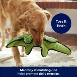 Frisco Alligator Stuffing-Free Flat Plush Squeaky Dog Toy 8 Frisco Alligator Stuffing-Free Flat Plush Squeaky Dog Toy -Dog Supplies Store 245943 PT2. AC SS1800 V1678723898