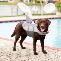 Frisco Shark Dog Life Jacket 18 Frisco Shark Dog Life Jacket -Dog Supplies Store 247887 PT7. AC SS1800 V1616505777