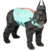 Frisco Active Dog Life Jacket 2 Frisco Active Dog Life Jacket -Dog Supplies Store 247894 MAIN. AC SS1800 V1613407958