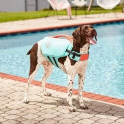 Frisco Active Dog Life Jacket -Dog Supplies Store 247894 PT7. AC SS1800 V1616506092