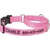 Frisco Solid Nylon Personalized Martingale Dog Collar -Dog Supplies Store 249561 MAIN. AC SS1800 V1699636209