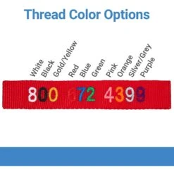 Frisco Solid Nylon Personalized Martingale Dog Collar -Dog Supplies Store 249561 PT3. AC SS1800 V1603471285