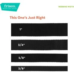 Frisco Solid Nylon Personalized Martingale Dog Collar -Dog Supplies Store 249561 PT4. AC SS1800 V1628876638