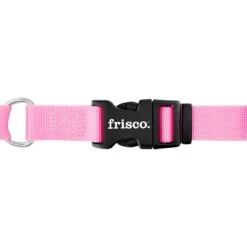Frisco Solid Nylon Personalized Martingale Dog Collar -Dog Supplies Store 249561 PT5. AC SS1800 V1628877460