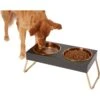 Frisco Copper Stainless Steel Elevated Foldable Double Dog & Cat Bowls -Dog Supplies Store 253060 MAIN. AC SS1800 V1616073913