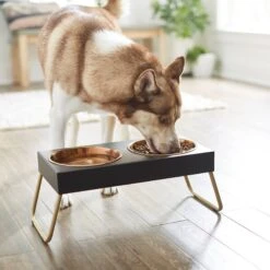 Frisco Copper Stainless Steel Elevated Foldable Double Dog & Cat Bowls -Dog Supplies Store 253060 PT2. AC SS1800 V1616594243
