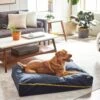 Frisco Faux Felt Zipper Pillow Cat & Dog Bed 1 Frisco Faux Felt Zipper Pillow Cat & Dog Bed -Dog Supplies Store 255158 MAIN. AC SS1800 V1616011383