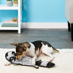 Frisco Alligator Stuffing-Free Flat Plush Squeaky Dog Toy & Frisco Raccoon Stuffing-Free Flat Plush Squeaky Dog Toy 11 Frisco Alligator Stuffing-Free Flat Plush Squeaky Dog Toy & Frisco Raccoon Stuffing-Free Flat Plush Squeaky Dog Toy -Dog Supplies Store 255471 PT4. AC SS1800 V1602691287