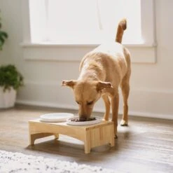 Frisco Ceramic Dog & Cat Double Diner With Elevated Wood Stand -Dog Supplies Store 256052 PT2. AC SS1800 V1615311142
