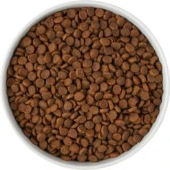 Frisco Paw Prints Non-skid Ceramic Bowl -Dog Supplies Store 256072 PT5. AC SS1800 V1615312318