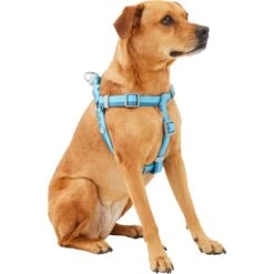 Frisco Outdoor Two Tone Waterproof Stinkproof PVC Dog Harness 9 Frisco Outdoor Two Tone Waterproof Stinkproof PVC Dog Harness -Dog Supplies Store 256580 PT2. AC SS1800 V1625164701