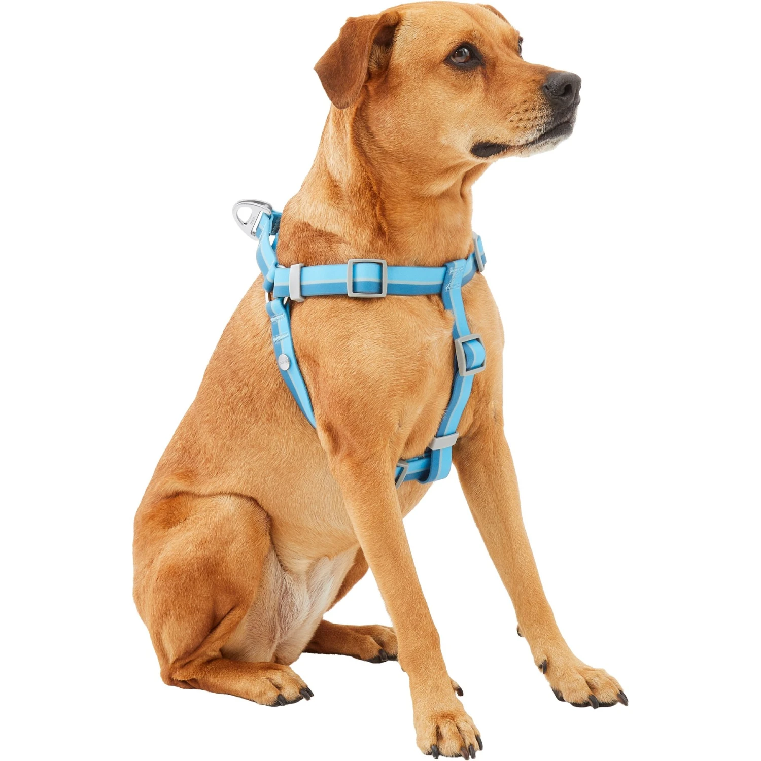 Frisco Outdoor Two Tone Waterproof Stinkproof PVC Dog Harness 5 Frisco Outdoor Two Tone Waterproof Stinkproof PVC Dog Harness - Image 3