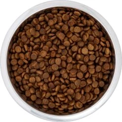 Frisco Black Iron Non-Skid Stainless Steel Dog & Cat Bowl -Dog Supplies Store 257152 PT4. AC SS1800 V1615311427