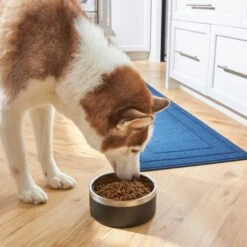 Frisco Insulated Two-Toned Non-Skid Stainless Steel Dog & Cat Bowl -Dog Supplies Store 257168 PT8. AC SS1800 V1615840126