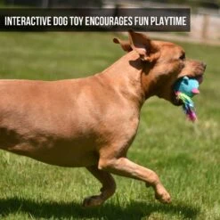 Hyper Pet Doggie Pal Unicorn Squeaky Interactive Plush Dog Toy -Dog Supplies Store 258938 PT3. AC SS1800 V1605914537