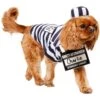 Frisco Prisoner Dog & Cat Costume -Dog Supplies Store 260933 MAIN. AC SS1800 V1624400089
