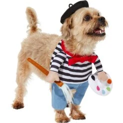 Frisco Front Walking French Artist Dog & Cat Costume -Dog Supplies Store 260956 PT3. AC SS1800 V1624453662