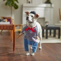 Frisco Front Walking French Artist Dog & Cat Costume -Dog Supplies Store 260956 PT8. AC SS1800 V1689623916