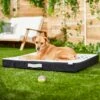 Frisco Indoor/Outdoor Arrow Print Pillow Dog Bed W/Removable Cover -Dog Supplies Store 262153 MAIN. AC SS1800 V1619807962