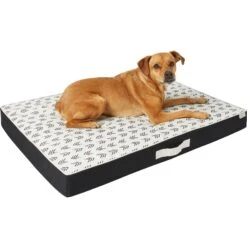 Frisco Indoor/Outdoor Arrow Print Pillow Dog Bed W/Removable Cover -Dog Supplies Store 262153 PT2. AC SS1800 V1619534330