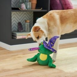 Frisco Magic Wizard Frog Plush Squeaky Dog Toy 7 Frisco Magic Wizard Frog Plush Squeaky Dog Toy -Dog Supplies Store 265588 PT3. AC SS1800 V1620939075
