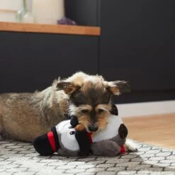 Frisco Magic Owl Plush Squeaky Dog Toy -Dog Supplies Store 265596 PT3. AC SS1800 V1623352167