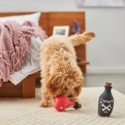 Frisco Magic Potions Latex Squeaky Dog Toy, 2 Count -Dog Supplies Store 265632 PT3. AC SS1800 V1620939021