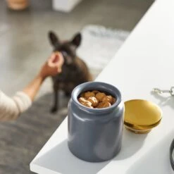 Frisco Modern Gold Rim Ceramic Treat Jar -Dog Supplies Store 270190 PT2. AC SS1800 V1620762371