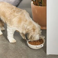 Frisco Dog Face Non-skid Ceramic Cat & Dog Bowl 10 Frisco Dog Face Non-skid Ceramic Cat & Dog Bowl -Dog Supplies Store 270226 PT2. AC SS1800 V1620762156