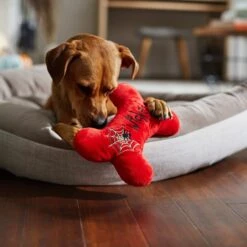 Frisco Halloween Wicked Cute Bone Reversible Plush Squeaky Dog Toy -Dog Supplies Store 270357 PT3. AC SS1800 V1624817551