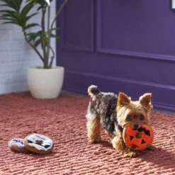 Frisco Halloween Donuts Plush Squeaky Dog Toy 8 Frisco Halloween Donuts Plush Squeaky Dog Toy -Dog Supplies Store 270369 PT3. AC SS1800 V1624817409