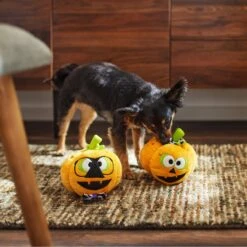 Frisco Halloween Nerdy Jack-o-Lanterns Plush Squeaky Dog Toy -Dog Supplies Store 270431 PT3. AC SS1800 V1624817796