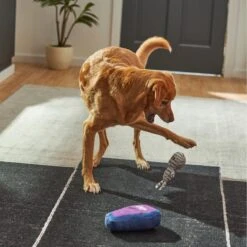 Frisco Halloween Mummy & Coffin Plush Squeaky Dog Toy -Dog Supplies Store 270437 PT3. AC SS1800 V1624817278