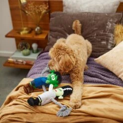 Frisco Halloween Frankenstein & Bride Plush With Rope Squeaky Dog Toy 9 Frisco Halloween Frankenstein & Bride Plush With Rope Squeaky Dog Toy -Dog Supplies Store 270496 PT3. AC SS1800 V1624824775