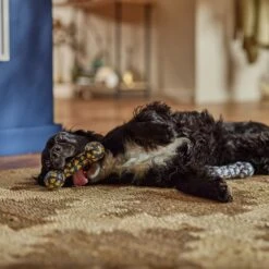 Frisco Halloween Candy Corn & Ghosts TPR Bone Squeaky Dog Toy, 2 Count -Dog Supplies Store 270529 PT3. AC SS1800 V1689876508