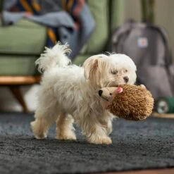 Frisco Camping Hedgehog Plush Squeaky Dog Toy 7 Frisco Camping Hedgehog Plush Squeaky Dog Toy -Dog Supplies Store 270995 PT3. AC SS1800 V1625009251